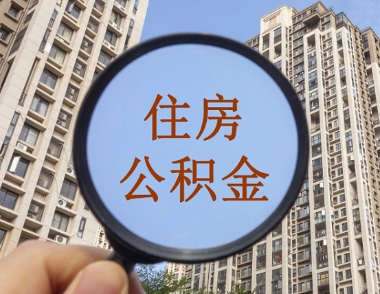 双鸭山退休后查不到公积金明细了吗（退休后公积金查询不到原因）